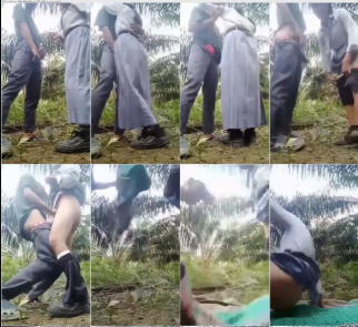 Indonesia Viral 2025 The Warmth Of Love Indo Viral Video Abg Seragam Bolos Sekolah Demi Merasakan Tarikan Nafas di Kebun Sawit Top Global Wikwik Hijab Inara